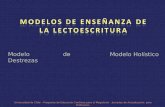 Modelo de Destrezas Modelo Holístico Universidad de Chile – Programa de Educación Continua para el Magisterio – Jornadas de Actualización para Profesores.