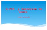 Q-PCR y Expresión de Genes Jenny Acevedo. Se diferencia de la PCR convencional en que permite monitorizar en cada ciclo la aparición del ADN producto.