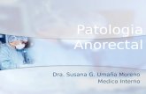 Patologia Anorectal Dra. Susana G. Umaña Moreno Medico Interno.