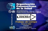 Organización Panamericana de la Salud Coordinador Dr. Raúl Agustín González V. Consultor de Emergencias y desastres Trabajo de Campo Panamá 2005 Curso.