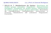 BOLILLA 7: Metabolismo de lípidos. Biosíntesis de ácidos grasos saturados. Regulación. Requerimiento energético. Elongación de ácidos grasos. Desaturación.