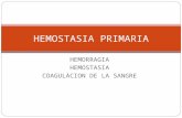 HEMORRAGIA HEMOSTASIA COAGULACION DE LA SANGRE HEMOSTASIA PRIMARIA.