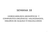 SEMANA 18 HIDROCARBUROS AROMÁTICOS Y COMPUESTOS ORGÁNICOS HALOGENADOS, HALUROS DE ALQUILO Ó HALOALCANOS 1.