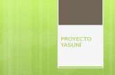 PROYECTO YASUNÍ QUE ES PROYECTO YASUNÍ  La iniciativa Yasuní-ITT (Ishipingo- Tambococha-Tiputini) es un ambicioso proyecto ambiental ecuatoriano que.