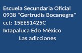 Escuela Secundaria Oficial 0938 “Gertrudis Bocanegra” cct: 15EES1425C Ixtapaluca Edo México Las adicciones.