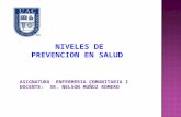 NIVELES DE PREVENCION EN SALUD ASIGNATURA ENFERMERIA COMUNITARIA I DOCENTE: SR. NELSON MUÑOZ ROMERO.