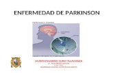 ENFERMEDAD DE PARKINSON JAVIER EDUARDO CURO YLLACONZA Lic. EN NUTRICIÓN HUMANA C.N.P. 1555 UNIVERSIDAD NACIONAL MAYOR DE SAN MARCOS.