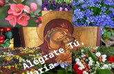 Alégrate Tú, María Alégrate, María Alégrate tú, María, de Dios mujer agraciada, el Señor está contigo, favorecida y amada.