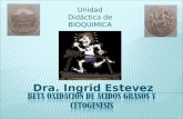 Dra. Ingrid Estevez Unidad Didáctica de BIOQUIMICA.