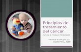 Principios del tratamiento del cáncer Nallely A. Holguín Velázquez Hemato-oncología Z02 Septiembre, 2010.