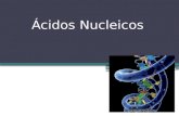 Ácidos Nucleicos. En las células se encuentran dos variedades de ácidos nucleicos: ▫ el ácido desoxirribonucleico (ADN). ▫ el ácido ribonucleico (ARN)