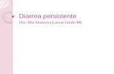 Diarrea persistente Dra. Mar Ekaterina Lanzas Guido MI.