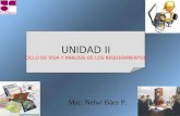 UNIDAD II CICLO DE VIDA Y ANÁLISIS DE LOS REQUERIMIENTOS Msc. Nelwi Báez P.