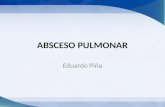 ABSCESO PULMONAR Eduardo Piña. Absceso pulmonar CANO Valle Fernando. Enfermedades del aparato respiratorio; 2da edición. 345-365 PEDROSA. Diagnóstico.