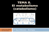 TEMA 8. El metabolismo (catabolismo) 2º Bachillerato - Biología Pachi San Millán IES Muriedas.
