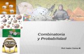 Prof. Isaías Correa M. Combinatoria y Probabilidad.