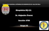UNIVERSIDAD NACIONAL AUTÓNOMA DE HONDURAS EN EL VALLE DE SULA Bioquímica BQ-111 Dr. Alejandro Álvarez Sección: 0700 Grupo #3.