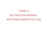 TEMA 4 NUTRICIÓN ANIMAL SISTEMA DIGESTIVO (III).  Empezar en 2´ 34´´