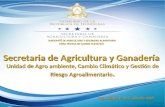 Secretaria de Agricultura y Ganadería Unidad de Agro ambiente, Cambio Climático y Gestión de Riesgo Agroalimentario. SUBCOMITÉ DE AGRICULTURA Y SEGURIDAD.