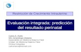 Evaluación integrada: predicción del resultado perinatal Restricción de Crecimiento Intrauterino Carlos E. Riaño MD, Ginecólogo-Obstetra Especialista en.