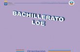 Estructura del Bachillerato LOE 2 cursos Permanencia Máxima: 4 años ORGANIZACIÓN en 3 MODALIDADES Ciencias y Tecnología Humanidades y CC. Sociales Artes.