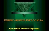 ENDOCARDITIS INFECCIOSA Dr. Gustavo Benítez Estigarribia.