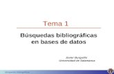 Búsquedas bibliográficas Búsquedas bibliográficas en bases de datos Tema 1 Javier Burguillo Universidad de Salamanca.