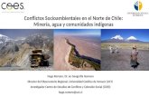 Conflictos Socioambientales en el Norte de Chile: Minería, agua y comunidades indígenas Hugo Romero, Dr. en Geografía Humana Director del Observatorio.