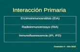 Interacción Primaria Comisión 4 – Año 2013 Enzimoinmunoanálisis (EIA) Radioinmunoensayo (RIA) Inmunofluorescencia (IFI, IFD)