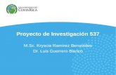 Proyecto de Investigación 537 M.Sc. Kryscia Ramírez Benavides Dr. Luis Guerrero Blanco.