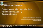 Contratos de Servicios Profesionales y Consultivos Radamés Calderón Escalera Adiestramiento Auditores Internos del Gobierno 7 de mayo de 2008 Estado Libre.