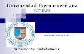 Universidad Iberoamericana (UNIBE) Facultad de Ciencias de la Salud Escuela de Odontología Instrumentos Endodonticos Christina Hernández 06-3005.
