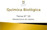 Tema N° 10 Metabolismo de Lípidos. Metabolismo de Lípidos en las Rutas Metabólicas.