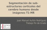 Segmentación de sub-estructuras corticales del cerebro humano desde imágenes T1-MR Juan Manuel Auñón Rodríguez Trabajo Fin de Grado.