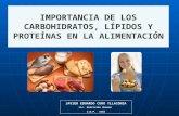 IMPORTANCIA DE LOS CARBOHIDRATOS, LÍPIDOS Y PROTEÍNAS EN LA ALIMENTACIÓN JAVIER EDUARDO CURO YLLACONZA Lic. Nutrición Humana C.N.P. 1555.