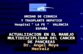UNIDAD DE CIRUGIA Y TRASPLANTE HEPATICO Hospital “ LA FE “ VALENCIA ESPAÑA ACTUALIZACION EN EL MANEJO MULTIDISCIPLINAR DEL CANCER DE PANCREAS Dr. Angel.