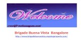 Brigade Buena Vista Pre Launch