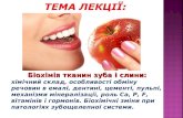 Біохімія тканин зуба і слини: