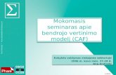 Mokomasis seminaras apie bendrojo vertinimo modelį (CAF)