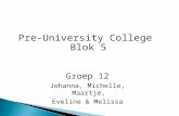 Pre-University  College  Blok 5