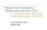 What Can Wireless Networks Do For Us? 1. wireless ad hoc network 2. wireless sensor network