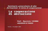 Prof. Maurizio CAVANNA UNIVERSITÀ DI TORINO Torino, 10 giugno 2010