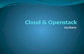 Cloud &  Openstack