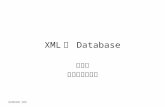 XML 과  Database