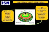 EDUCAÇÃO SÓCIO-AMBIENTAL