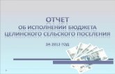Отчет  об исполнении Бюджета Целинского  сельского поселения  за 2013 год