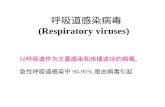 呼吸道感染病毒 (Respiratory viruses)