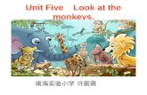 Unit Five    Look at the monkeys.