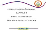 PERFIL EPIDEMIOLÓGICO 2009 CAPITULO 8  CANALES ENDÉMICOS  VIGILANCIA EN SALUD PUBLICA