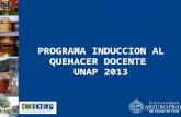 PROGRAMA INDUCCION AL QUEHACER DOCENTE  UNAP 2013